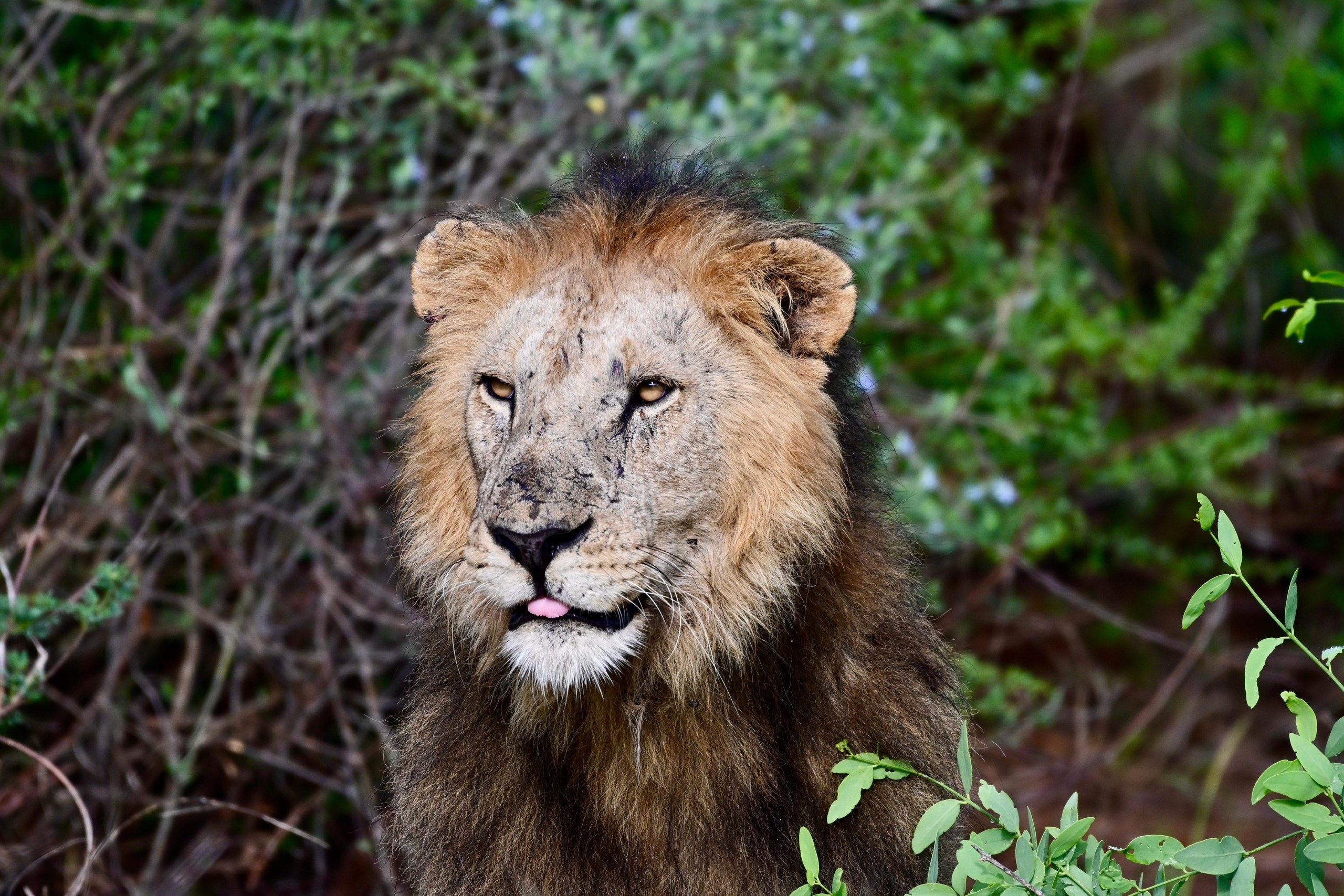 Samburu 9